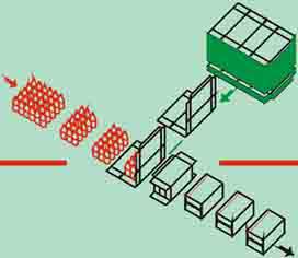 Horizontal Cartoners, intermittent machines, automatic vertical cartoner, wraparound cartoning machine, continuous cartone, casepacker, compact paletizer